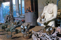 sensi3.jpg sensi3.jpg