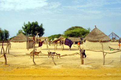 cucina-senegalese-paesaggio