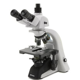 polveri-microscopio-elettronico