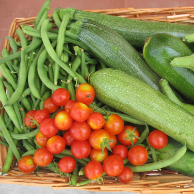 Fagiolini - Ortaggio del mese Biolcalenda Settembre 2015