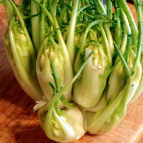 Puntarelle - Ortaggio del mese Biolcalenda Marzo 2016