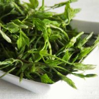 Carletti (Silene vulgaris) e bruscandoli (Luppolo) - Ortaggio del mese Biolcalenda maggio