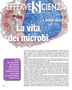 Effervescienzan° 94 febbraio 2017- La vita dei microbi