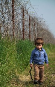 Azienda Agricola biodinamica Terrevive - Gargallo di Carpi (MO)