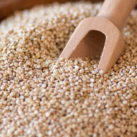 Quinoa - La cucina per intolleranti e allergici Biolcalenda