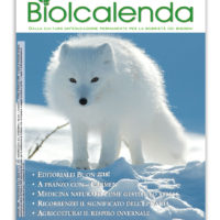 Biolcalenda di gennaio 2017 - mensile dell'associazione La Biolca. In copertina Volpe Artica