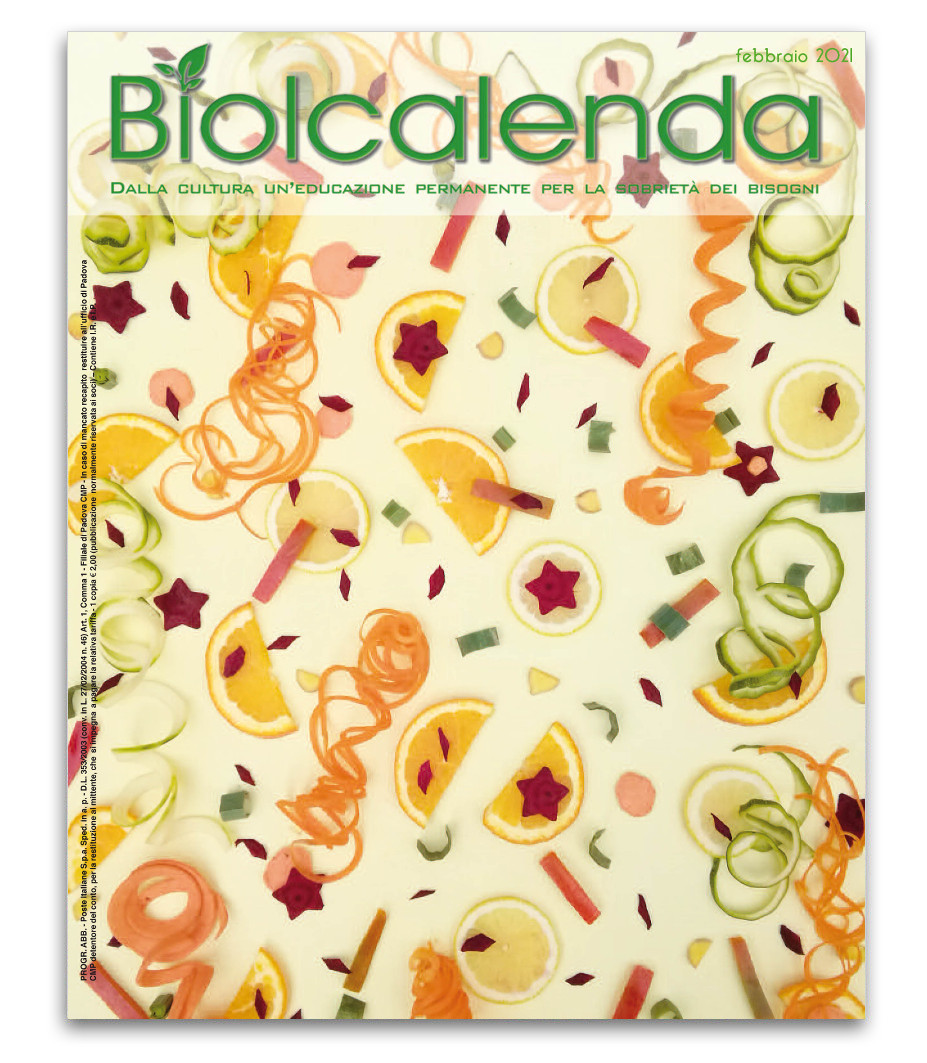 Biolcalenda di febbraio 2021 - mensile dell'associazione La Biolca. In copertina carnevale di Elena Bassi