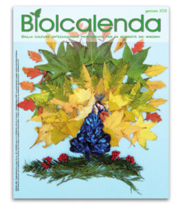 Biolcalenda di gennaio 2021 - mensile dell'associazione La Biolca. In copertina Pavone di Elena Bassi