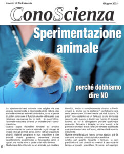 Perché dobbiamo dire NO alla sperimentazione animale - Conoscenza di giugno 2021