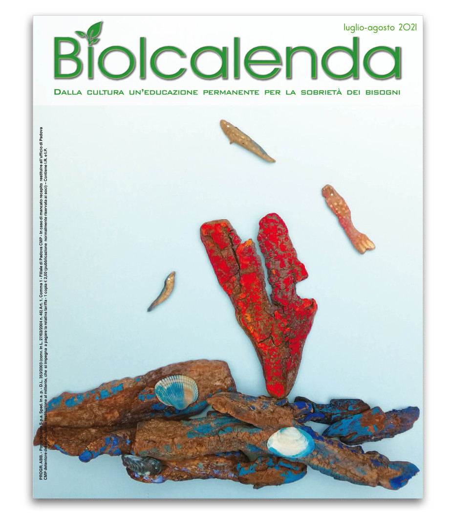 Biolcalenda di luglio-agosto 2021 - mensile dell'associazione La Biolca. In copertina: un maredi pesci