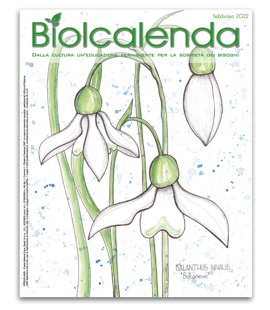 Biolcalenda di febbraio 2022 - mensile dell'associazione La Biolca. In copertina disegni originali di Elena Bulgarelli