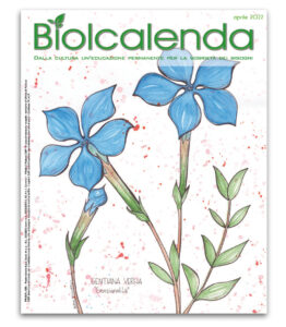 Biolcalenda di aprile 2022 - mensile dell'associazione La Biolca. In copertina disegni originali di Elena Bulgarelli