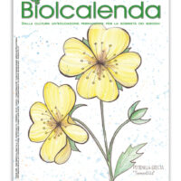 Biolcalenda di maggio/giugno 2022 - bimensile dell'associazione La Biolca. In copertina disegni originali di Elena Bulgarelli