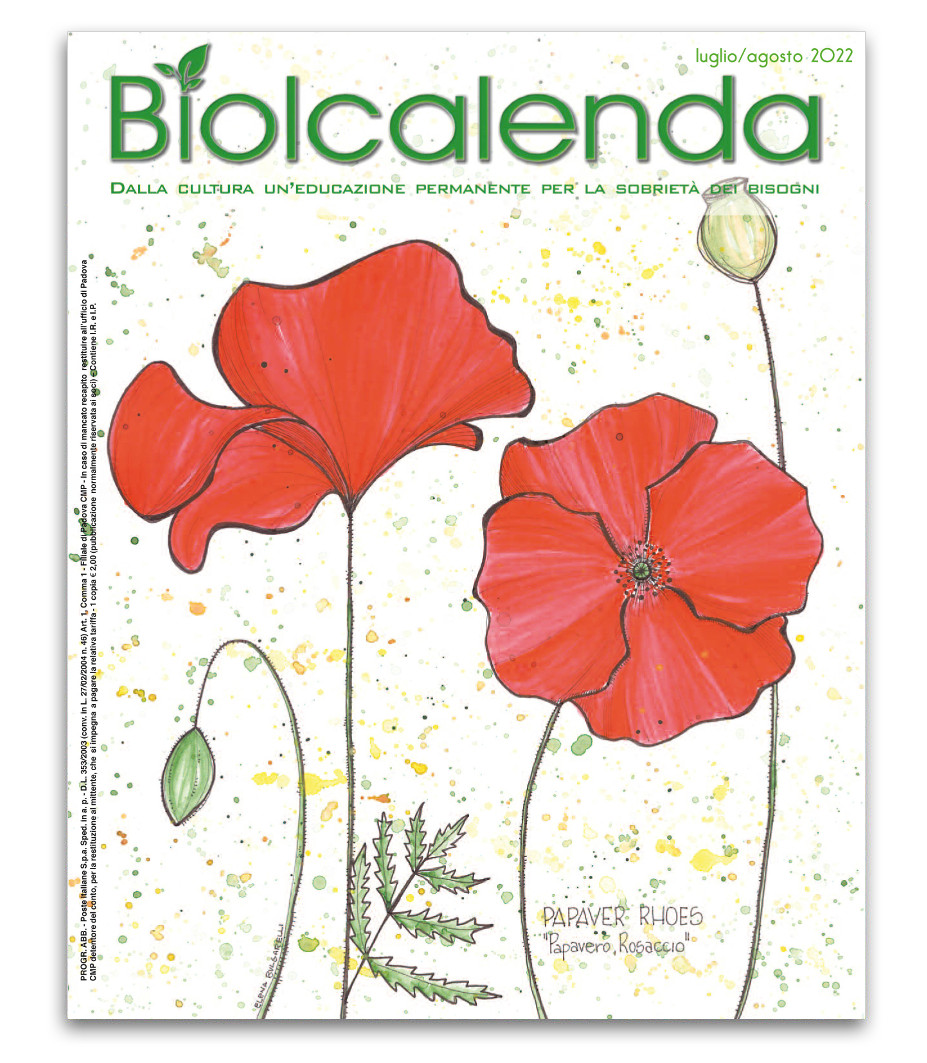 Biolcalenda di Luglio/Agosto 2022 - bimensile dell'associazione La Biolca. In copertina disegni originali di Elena Bulgarelli
