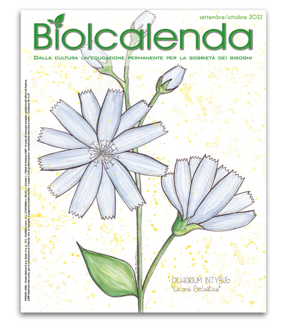 Biolcalenda di Settembre/Ottobre 2022 - bimensile dell'associazione La Biolca. In copertina disegni originali di Elena Bulgarelli