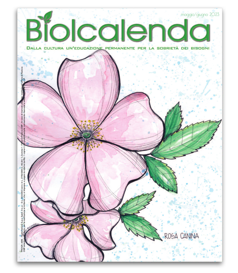 Biolcalenda di maggio/giugno 2023 - bimensile dell'associazione La Biolca. In copertina disegni originali di Elena Bulgarelli