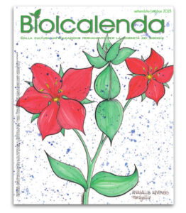 Biolcalenda di settembre-ottobre 2023 - bimensile dell'associazione La Biolca. In copertina disegni originali di Elena Bulgarelli