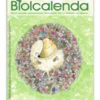 Biolcalenda di Gennaio/Febbraio 2024 - bimensile dell'associazione La Biolca. In copertina disegni originali di Elena Bulgarelli