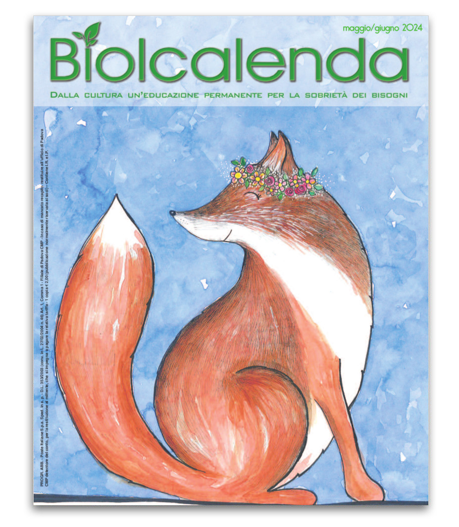 Biolcalenda di maggio-giugno 2024 - bimensile dell'associazione La Biolca. In copertina disegni originali di Elena Bulgarelli