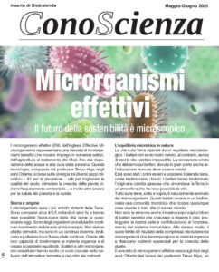 I microrganismi effettivi rappresentano dunque un’innovazione rivoluzionaria nel campo dell'agricoltura, della gestione ambientale e del benessere personale.