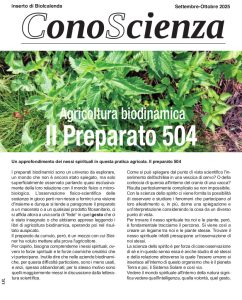 Agricoltura Biodinamica: il Preparato 504