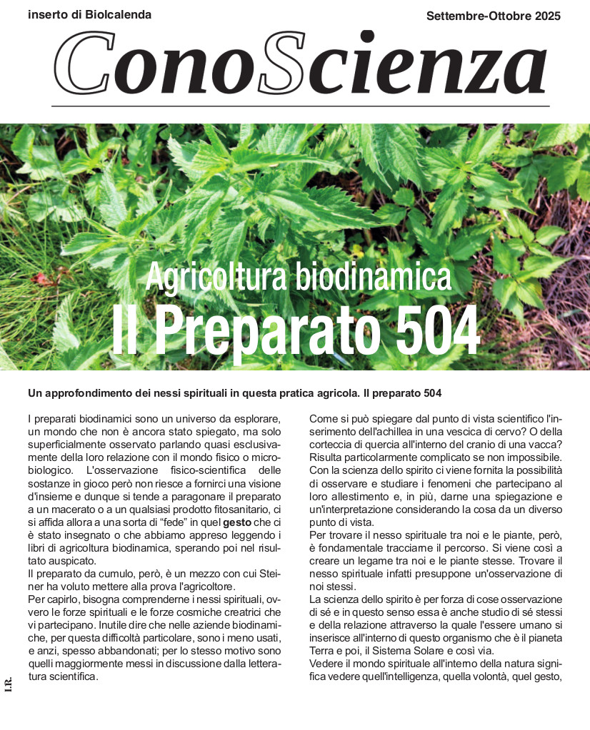 Agricoltura Biodinamica: il Preparato 504