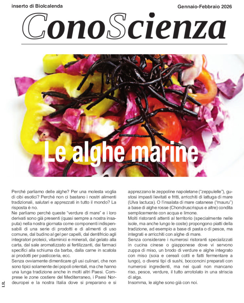 Le alghe marine - Conoscienza 35 allegato Biolcalenda di gennaio/febbraio 2026